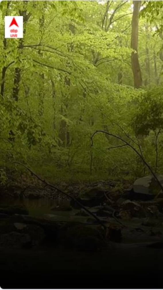 Things to do in Sariska