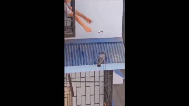 viral videos watch tamil nadu Boy helps pigeon drink water with spoon புறாவுக்கு தண்ணீர் ஊட்டிய சிறுவன்.. வனத்துறை அதிகாரி பகிர்ந்து வைரலான வீடியோ..