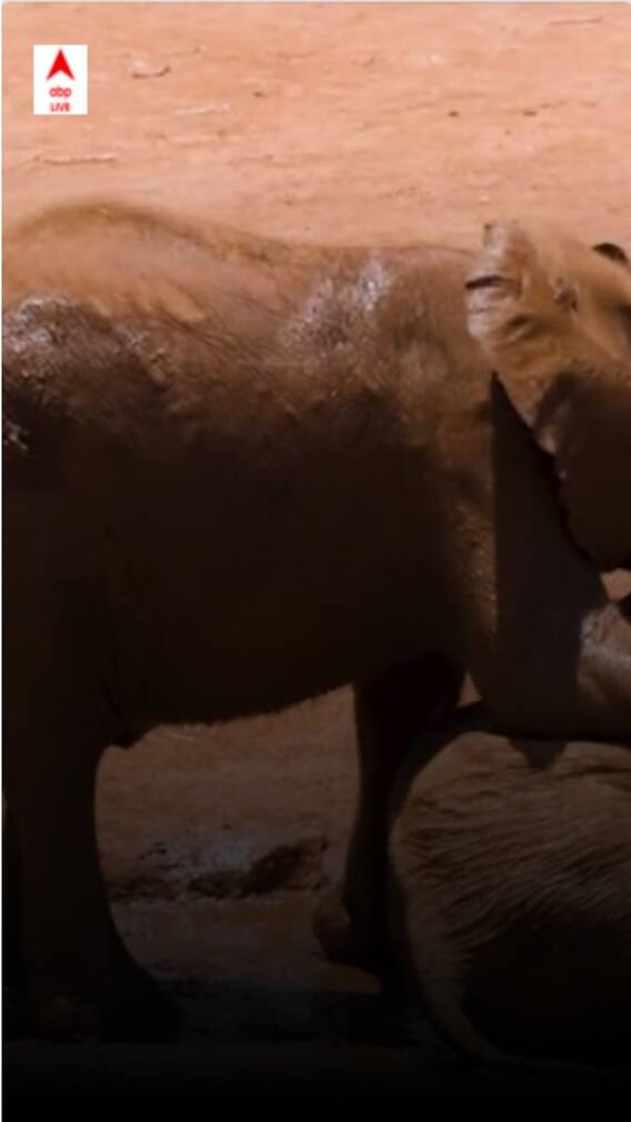 The Best Wildlife Experience In India