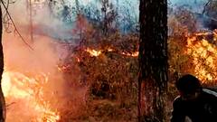 Understand how Uttarkhand's forest fire poses new challenge for Covid-19 patients