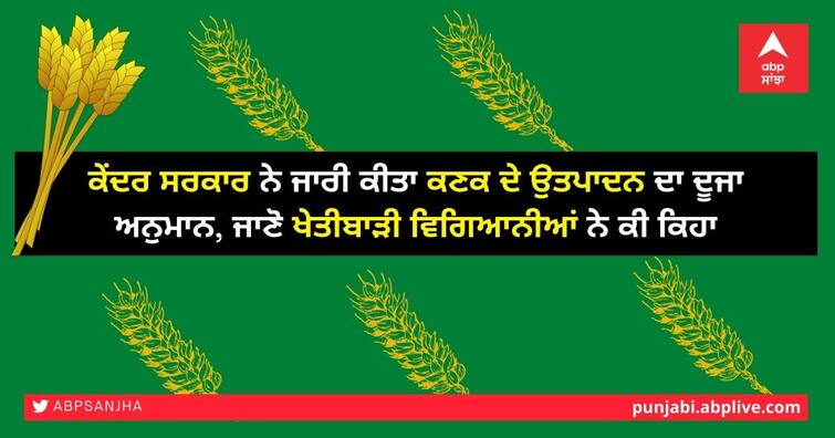 The second estimate of wheat production released by the central government, find out what agricultural scientists said ਕੇਂਦਰ ਸਰਕਾਰ ਨੇ ਜਾਰੀ ਕੀਤਾ ਕਣਕ ਦੇ ਉਤਪਾਦਨ ਦਾ ਦੂਜਾ ਅਨੁਮਾਨ, ਜਾਣੋ ਖੇਤੀਬਾੜੀ ਵਿਗਿਆਨੀਆਂ ਨੇ ਕੀ ਕਿਹਾ