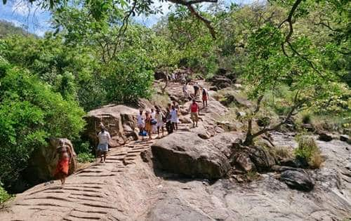 Sathuragiri Sundaramakalingam Temple Adi Amavasai Darshan Observe this before visiting - TNN சதுரகிரி கோயிலுக்கு செல்லும் பக்தர்களே.. ஆடி அமாவாசை தரிசனத்திற்கு செல்லும் முன் இதை கவனிக்கவும்