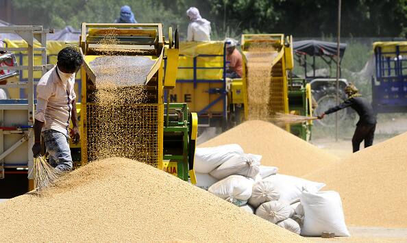Punjab Wheat Procurement,  66322 MT Wheat on procured on Second Day Punjab Wheat Procurement: ਦੂਜੇ ਦਿਨ 66322 ਮੀਟ੍ਰਿਕ ਟਨ ਕਣਕ ਦੀ ਖਰੀਦ