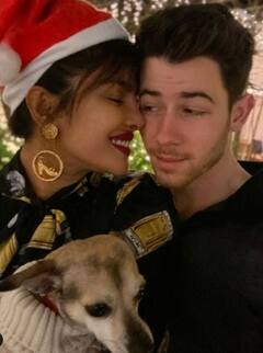 National Pet Day: अनुष्का शर्मा से लेकर सलमान खान तक ये बॉलीवुड सितारे हैं पेट लवर