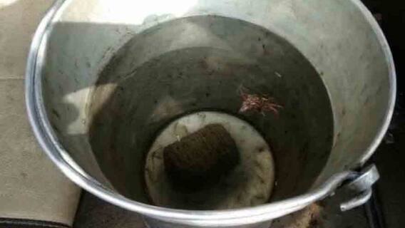 West Bengal Election 2021: ভোটের পরদিন শীতলকুচির বেলাকোবায় উদ্ধার তাজা বোমা