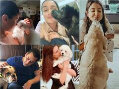 National Pet Day: अनुष्का शर्मा से लेकर सलमान खान तक ये बॉलीवुड सितारे हैं पेट लवर