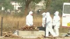 Bhandara | कोरोना रुग्णांच्या अर्धवट जळालेल्या मृतदेहाचे भटक्या कुत्र्यांकडून लचके