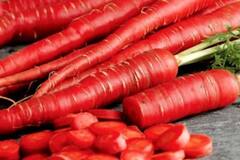 Immunity Booster Vegetables: આ શાકને ડાયટમાં કરો સામેલ, ઇમ્યુનિટી વધારવાની સાથે થશે આટલા ફાયદા