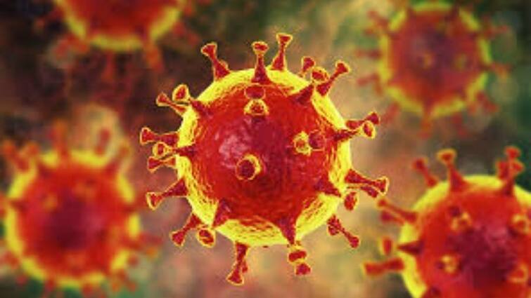 COVID daily new cases updates big Surge in covid-19 infection and Death rate இந்தியாவில் ஒரே நாளில் 1,68,912  பேருக்கு கொரோனா நோய்த் தொற்று - 904 பேர் பலி