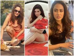 माधुरी दीक्षित से मीरा राजपूत तक इन स्टार्स के इंस्टा पोस्ट हो रहे वायरल, देखें ये स्पेशल फोटोज़