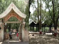 भटक्या कुत्र्यांकडून स्मशानभूमीतील मृतदेह रस्त्यावर, बुलढाण्याच्या मलकापुरातील धक्कादायक प्रकार