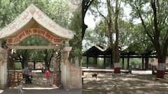 Buldhana | भटक्या कुत्र्यांकडून स्मशानभूमीतील मानवी अवयव रस्त्यावर, मलकापूर स्मशानभूमीतील प्रकार