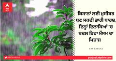 ਕਿਸਾਨਾਂ ਲਈ ਮੁਸੀਬਤ ਬਣ ਸਕਦੀ ਭਾਰੀ ਬਾਰਸ਼, ਇਨ੍ਹਾਂ ਇਲਾਕਿਆਂ ’ਚ ਬਦਲ ਰਿਹਾ ਮੌਸਮ ਦਾ ਮਿਜ਼ਾਜ