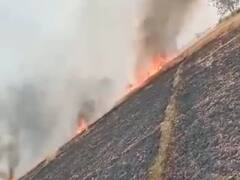 हजारों एकड़ में लगी गेहूं की फसल जलकर खाक, मायूस किसान ने कहा- इसी के भरोसे तय की थी बेटी की शादी