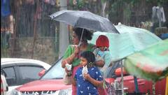 தென் மாவட்டங்களில் கொட்டித் தீர்க்கும் மழை