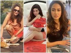 માધુરી દિક્ષિતથી મીરા રાજપૂત સુધી આ સ્ટાર્સની ઇન્સ્ટા પૉસ્ટ થઇ રહી છે વાયરલ, જુઓ આ સ્પેશ્યલ તસવીરો.....