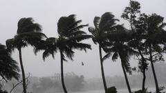Weather Update: কয়েক ঘণ্টার মধ্যেই তিন জেলায় ঝড়-বৃষ্টির পূর্বাভাস