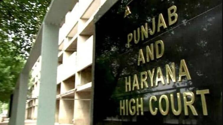 Punjabi woman reaches Punjab-Haryana High Court after  Prince Harry refuses for marriage, says arrest warrant should be issued ਬ੍ਰਿਟੇਨ ਦੇ ਪ੍ਰਿੰਸ ਹੈਰੀ ਨੇ ਤੋੜਿਆ ਪੰਜਾਬਣ ਦਾ ਦਿਲ, ਵਿਆਹ ਤੋਂ ਮੁੱਕਰਿਆ ਤਾਂ ਹਾਈਕੋਰਟ ਪਹੁੰਚੀ ਮਹਿਲਾ ਵਕੀਲ