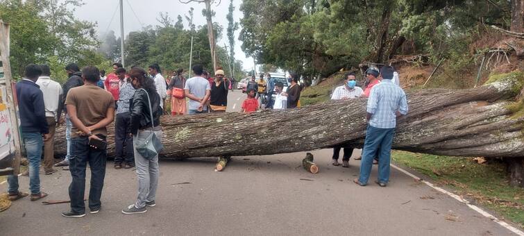 Heavy traffic congestion in Kodaikanal கொடைக்கானலில் கடும் போக்குவரத்து நெரிசல்