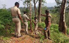 खटीमा: वन विभाग की टीम ने छापेमारी की कार्रवाई, स्कॉर्पियो कार से खैर की लकड़ी के 31 लट्ठे हुए बरामद