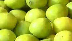 Rajkot:મોસંબી, નારિયેળ સહિતના ફળોની માંગ વધતા ભાવમાં કેટલો થયો વધારો, જુઓ વીડિયો