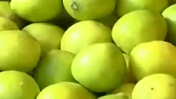 Rajkot:મોસંબી, નારિયેળ સહિતના ફળોની માંગ વધતા ભાવમાં કેટલો થયો વધારો, જુઓ વીડિયો