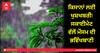 ਝੋਨੇ ਦੇ ਸੀਜ਼ਨ 'ਚ ਕਿਸਾਨਾਂ ਨੂੰ ਮੌਜਾਂ! ਸਕਾਈਮੇਟ ਵੱਲੋਂ ਮੌਸਮ ਦੀ ਭਵਿੱਖਬਾਣੀ