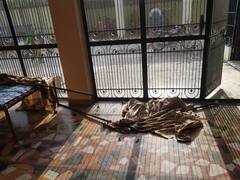 17 ਸਾਲਾਂ ਪੋਤੇ ਨੇ ਟੀ.ਵੀ. ਸੀਰੀਅਲ ਦੇਖ ਦਾਦੀ ਦਾ ਕੀਤਾ ਕਤਲ, ਰਚੀ ਇਹ ਕਹਾਣੀ 