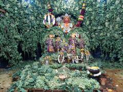 Jejuri Khanderaya | जेजुरीच्या खंडेरायाला द्राक्षांची आरास, पहा फोटो