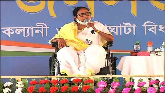 West Bengal Election 2021: 'রবীন্দ্রনাথের মতো দাড়ি রাখলেই হয় না, রবীন্দ্রনাথকে জানতেও হয়': মমতা