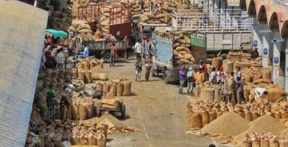 Gujarat Corona Guideline : APMC's shoppers buying product from farmers during govt order of lockdown in APMC કોરોનામાં APMC બંધ રાખવાનો સરકારનો આદેશ છતાં ઉત્તર ગુજરાતની APMCમાં પાછલા દરવાજે વેપાર ચાલું