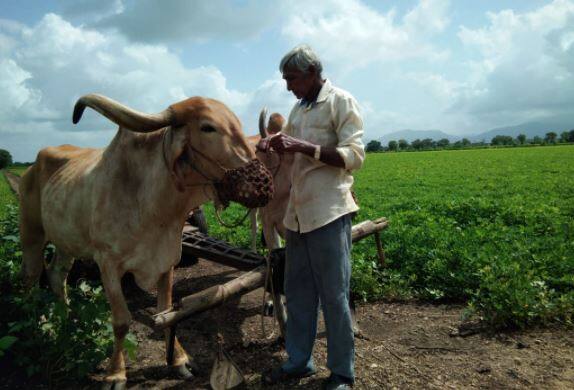 Monsoon 2021: Indian monsoon to be normal third continue year detail here Monsoon 2021: કોરોનાના કહેર વચ્ચે ખેડૂતો માટે શું આવ્યા ખુશીના મોટા સમાચાર ?  જાણો વિગત