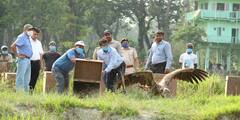 Himalayan Griffon: অসুস্থ অবস্থায় উদ্ধার হওয়া ২১টি শকুন মুক্ত, চিকিৎসার পর ছাড়া হল বক্সার জঙ্গল থেকে