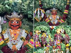 Jejuri Khanderaya | जेजुरीच्या खंडेरायाला द्राक्षांची आरास, पहा फोटो