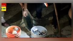 West Bengal Election 2021: মাথাভাঙায় তৃণমূল নেতার বাড়ির সামনে থেকে উদ্ধার ৭টি তাজা বোমা