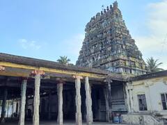 சீர்காழி சட்டநாதர் ஆலய ஆல்பம்