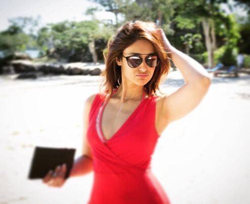 इसके बाद उन्होंने बॉलीवुड में रूस्तम, मैं तेरा हीरो, रेड, बादशाहो, पागलपंती जैसी हिट फिल्मों में काम किया.