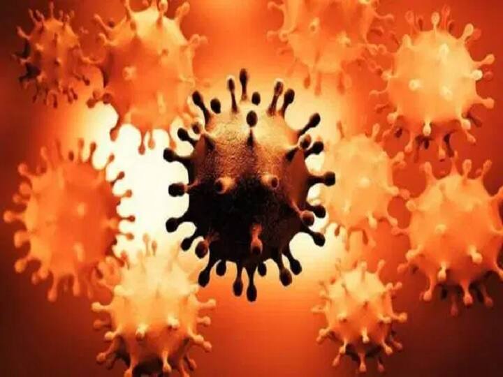 Coronavirus: Double Mutant Strain In 10 States, know what is double mutant strain દેશના આ 10 રાજ્યમાં ફેલાયો કોરોના વાયરસનો ડબલ મ્યૂટેન્ટ સ્ટ્રેન, જાણો કેમ જોખમી છે આ નવો સ્ટ્રેન ?