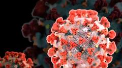 Lucknow: corona के हालात बद से बदतर,एंबुलेंस के इंतजार में जज की पत्नी ने दम तोड़ा