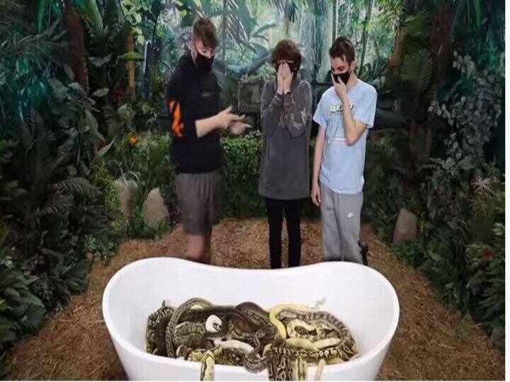 सांपों से भरे टब में बैठने पर मिलेंगे $ 10,000, एक यूट्यूबर ने दिया चैलेंज, देखिए वीडियो Viral: a YouTuber given a challenge to sit in a tub full of snakes, watch video सांपों से भरे टब में बैठने पर मिलेंगे $ 10,000, एक यूट्यूबर ने दिया चैलेंज, देखिए वीडियो