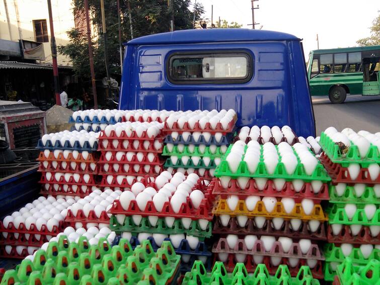 Egg prices rise by another 15 paise முட்டை  விலை மேலும் 15 பைசா உயர்வு: 15 நாளில் 75 பைசா உயர்வு