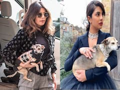 Nick Jonas और Priyanka Chopra के बीच में सोता है उनका Pet, इस बात से खूब परेशान हैं अभिनेत्री
