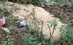 சீர்காழியில் புதரில் வீசப்பட்ட ரேஷன் அரிசி