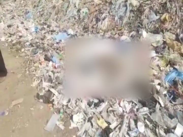 bihar: Health workers throw unclaimed dead bodies on piles of garbage, dogs and pigs make morsel, video VIRAL in darbhanga ann स्वास्थ्यकर्मियों ने कचरे के ढेर पर फेंका लावारिश शव, कुत्तों और सुअरों ने बनाया निवाला