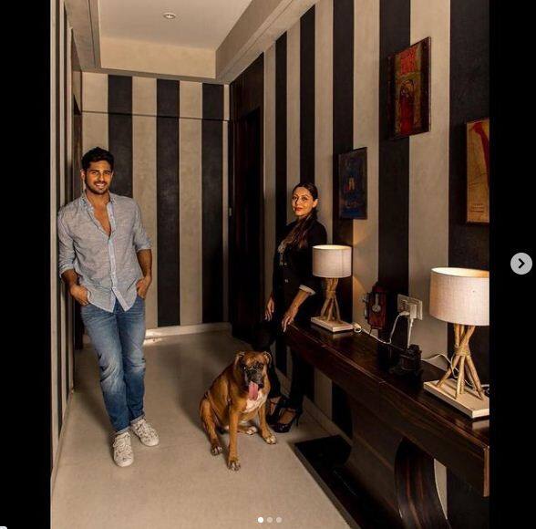 तस्वीर में सिद्धार्थ मल्होत्रा के साथ गौरी खान को देखा जा सकता है. दरअसल सिद्धार्थ मल्होत्रा की डिजाइनिंग शाहरुख खान की पत्नी गौरी खान ने ही की थी.