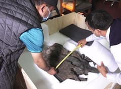 1984 'ਚ ਚੋਰੀ ਹੋਏ 'ਲਕਸ਼ੀ-ਨਰਾਇਣ' ਪਰਤੇ ਆਪਣੇ ਘਰ