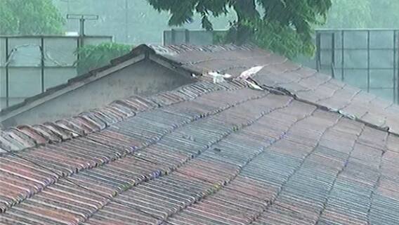 Monsoon Update | देशात या वर्षी सरासरीच्या 98 टक्के पावसाची शक्यता, हवामान खात्याचा अंदाज