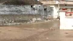 કચ્છ જિલ્લાના વાતાવરણમાં પલટો, આ વિસ્તારોમાં વરસ્યો કમોસમી વરસાદ