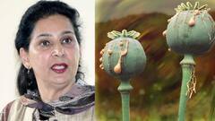 'ਕਿਸਾਨ ਲੱਖਪਤੀ ਹੋ ਜਾਵੇਗਾ ਜੇ ਅਫੀਮ ਦੀ ਖੇਤੀ ਸ਼ੁਰੂ ਹੋਵੇਗੀ'