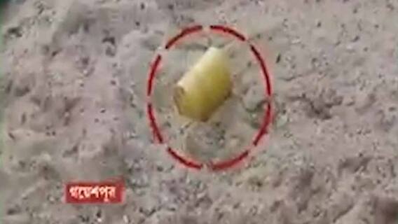 WB Election 2021 Voting: কল্যাণী গয়েশপুরে ‘বোমাবাজি’তে জখম BJP কর্মী